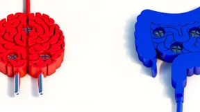 Untermieter und Oberstübchen