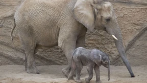 Wo das Glück zu Hause ist