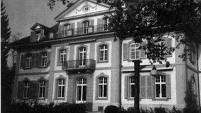 Zwei von viel zu vielen?