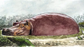 Friedensverhandlungen ohne Waffenstillstand rechtlich kaum tragfähig