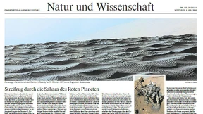 Schicksalhafte Wälder