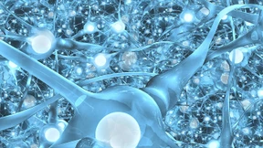 Der nächste Schritt in der Künstlichen Intelligenz