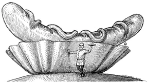 Das deutsche Rostbratwurstdilemma