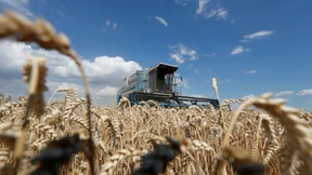 Nicht nur der Krieg lässt den Preis für Weizen explodieren