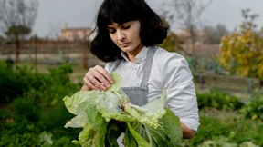 Die Legende der Lagune