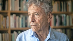 Die gespaltene Wurzel