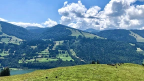 Wie die Natur in einem alten Skigebiet wieder Einzug hält