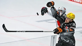 Bokk bleibt ein Löwe