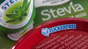 Süßkraut Stevia begeistert Nahrungshersteller