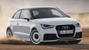 Die Muskeln des Mopses