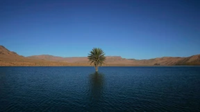 Anleger setzen auf Wasser und Frontier Markets