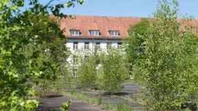 Quoten, Preisbremsen, Nachverdichtung