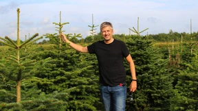 Surfen statt schleppen - Weihnachtsbäume aus dem Internet