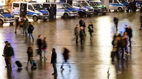 Wären sie nur nicht so dumm  