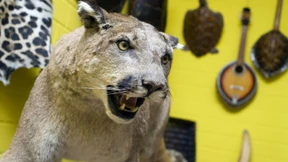 Was vom Urlaub hängen blieb