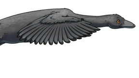 Der tollkühne Dinoflieger