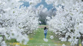 Mit Goethe unterwegs in erfrischender Einsamkeit