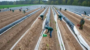 Warum viele Rumänen in der Fremde arbeiten (müssen)