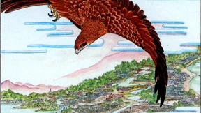 Der vermessende Mann