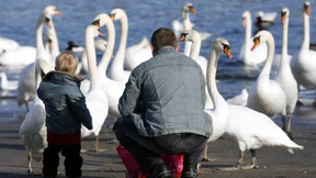 Hessische Väter verschmähen Elterngeld