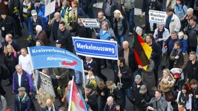 Tausende Teilnehmer bei AfD-Demo