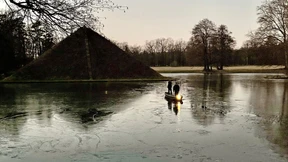Er träumte von Wolfsschluchten und Pyramiden