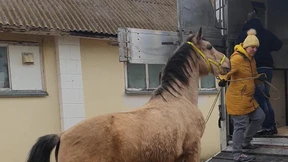 „Wir haben niemanden zurückgelassen“