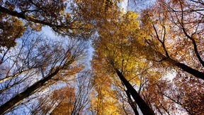 Der Herbst 2023 war der zweitwärmste seit Messbeginn