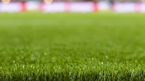 Nach der Graswurzelbewegung