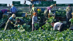 Inflation so niedrig wie zuletzt vor 4 Jahren 