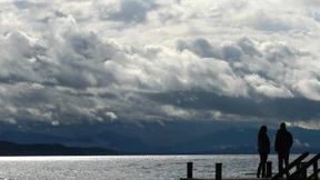 Der Wetterfrosch  in meinem Kopf