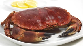 Holzhammer in Kinderhänden