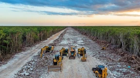 Eine Schneise durch den Regenwald