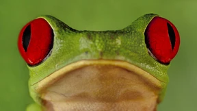 Der sich selbst erhaltende Hass