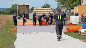 Im Akkord Schweine töten