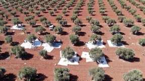 Anleihen gegen Hunger und für ein besseres Klima