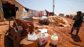 Ohnmacht gegenüber der Skrupellosigkeit