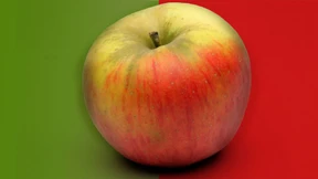 Sind Sie trotzdem ein Bio-Typ?