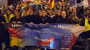 AfD-Bundessprecher: Höcke schadet der Partei