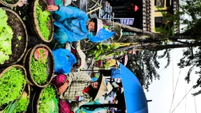 Die dreierlei Wege, klug zu handeln