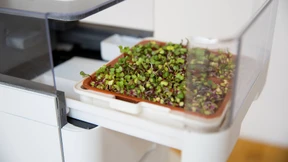 Sprossen für alle, auf Knopfdruck