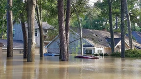 Verzweifelt gegen die Fluten