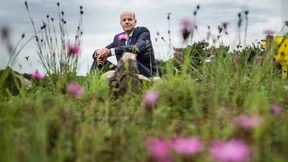 Bienen gerettet, Geld verloren