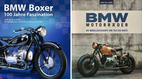 Wer es genau wissen will: Der Boxer und seine Freunde