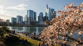 Schlafkapseln, Wanderfalken und Sonnenschein