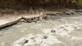 Dürre legt 113 Millionen Jahre alte Dinosaurierspuren frei