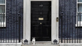 Dynamit in Westminster