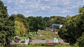 Ein Garten wechselt das System