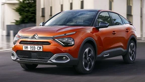 Der Kaktus sticht nicht mehr