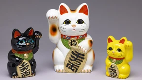 Faszination von Bastet bis Hello Kitty